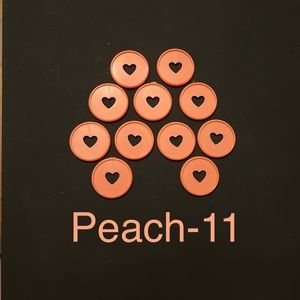 Happy Planner Disks - Classic